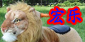 ꘷(l)Ʒlogo