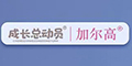 L(zhng)(dng)TӠlogo