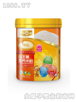 諾聰益生菌營養(yǎng)米粉(純營養(yǎng)米粉)