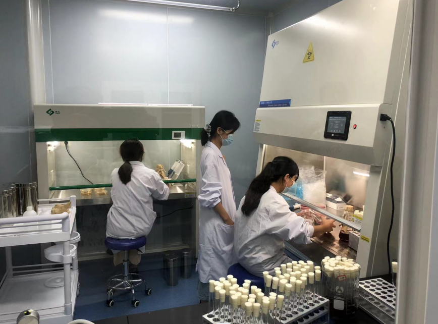 公共衛(wèi)生檢測的重要性，你了解嗎？
