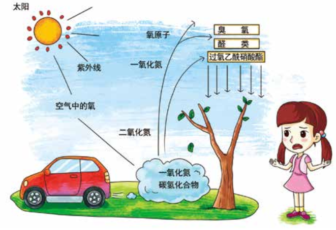臭氧知識科普（2） | 臭氧跟光化學(xué)煙霧、PM2.5有什么關(guān)系？