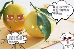 去除甲醛的方法多種多樣，哪種最實(shí)用靠譜